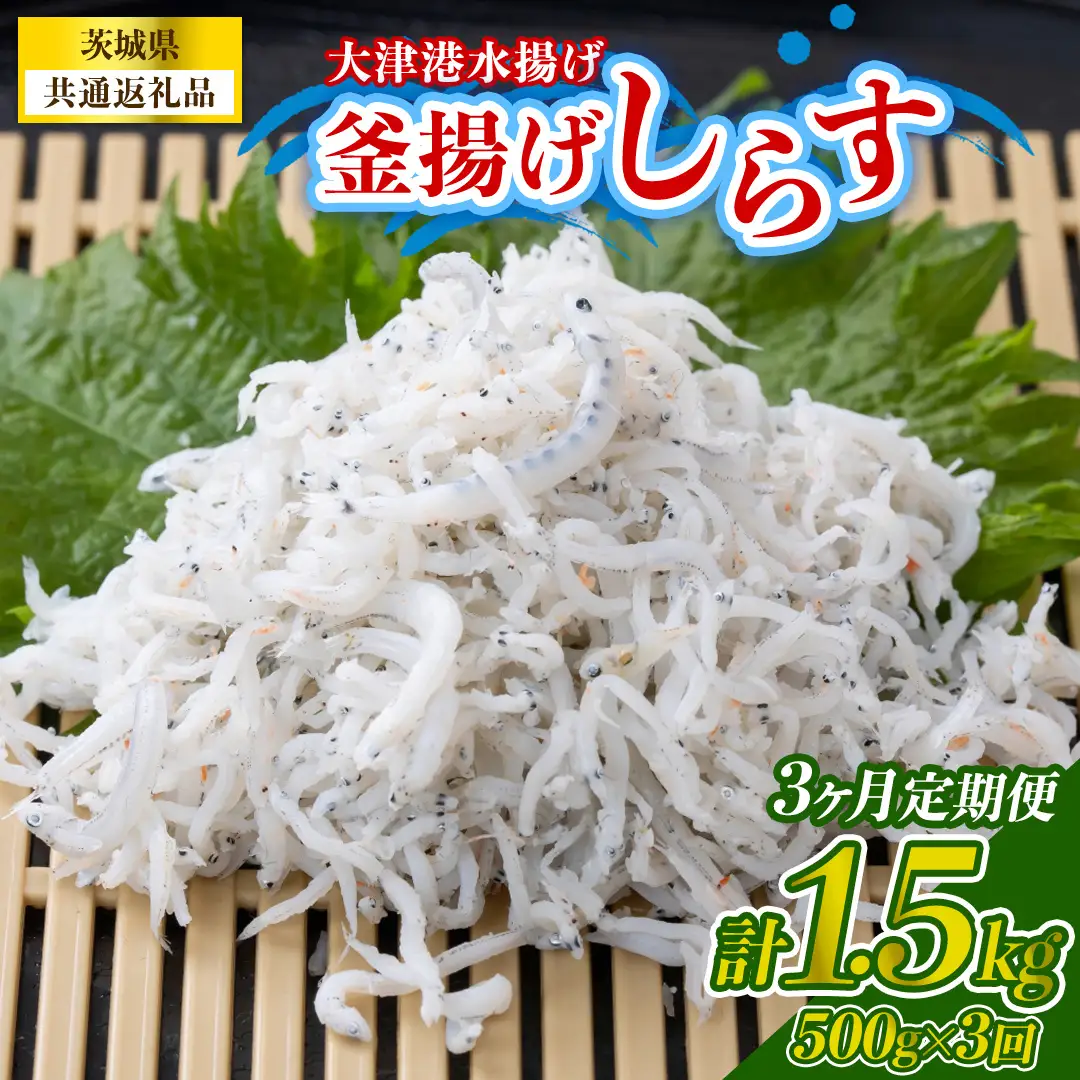 【3回 定期便】大津港水揚げの釜揚げしらす 500g(250g×2パック) (茨城県共通返礼品:北茨城市) （BC020）