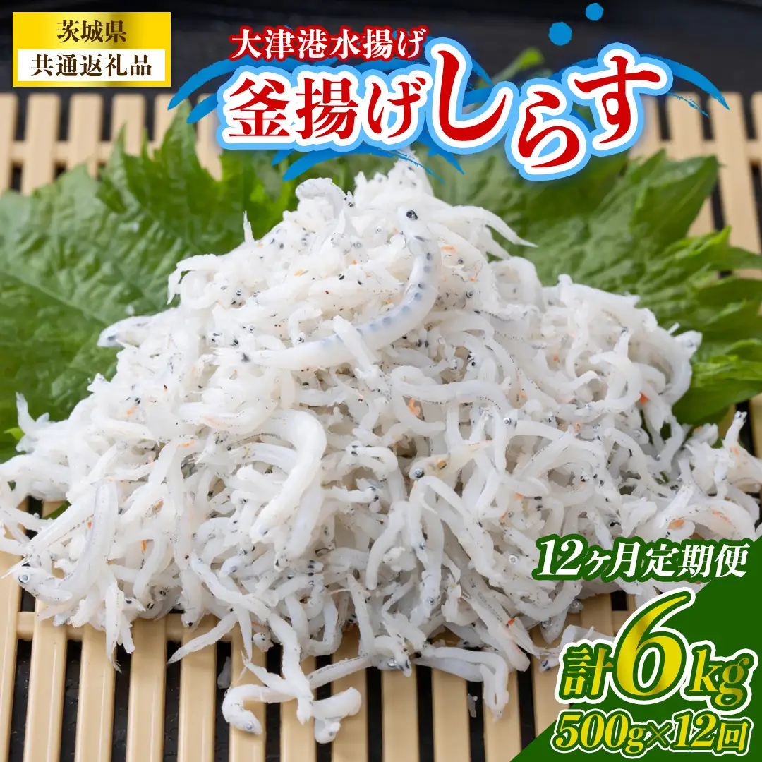 【12回定期便】大津港水揚げの釜揚げしらす 500g(250g×2パック) (茨城県共通返礼品:北茨城市) (BC022)