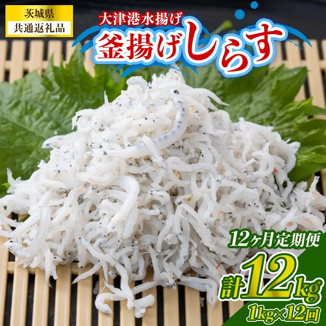 【12回定期便】大津港水揚げの釜揚げしらす 1kg(250g×2パック×2箱) (茨城県共通返礼品:北茨城市) (BC025)