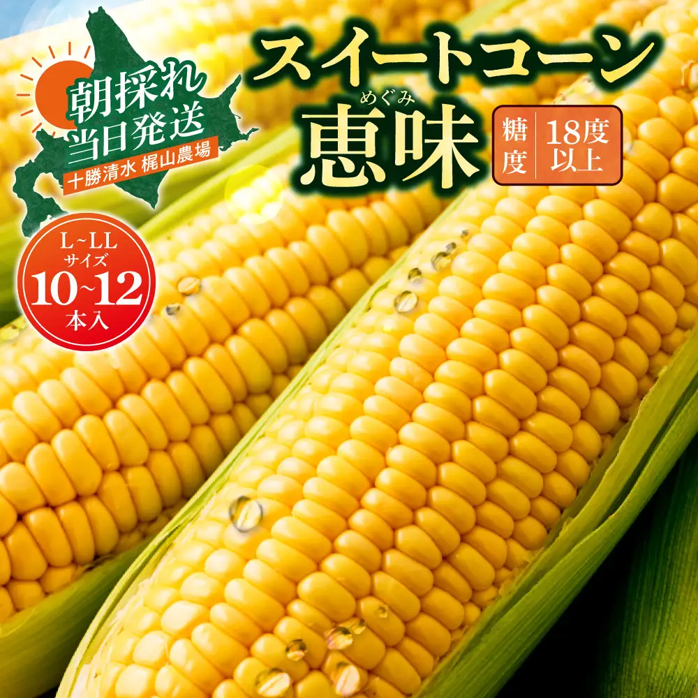 先行受付！【2026年8月頃～発送開始！】北海道十勝清水町産 とうもろこし 恵味 サイズ混合 10本 産地直送 スイートコーン 朝どれ ジューシー_S041-0011-20260810