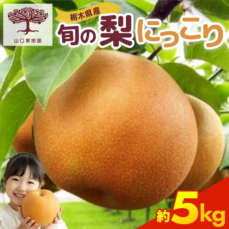 【先行予約】栃木の梨 にっこり 5kg | 梨 秋の味覚 果物 くだもの フルーツ ※2026年10月～発送