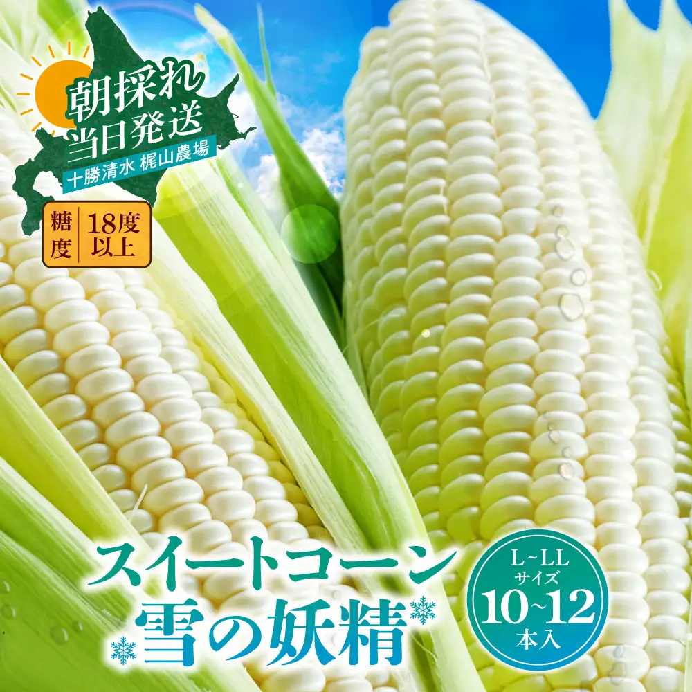 先行受付！【2026年8月中旬頃～発送開始！】北海道十勝清水町産 希少品種！ 白いとうもろこし 雪の妖精 サイズ混合 10本 産地直送 スイートコーン 朝どれ フルーツのような甘さ_S041-0012-20260810