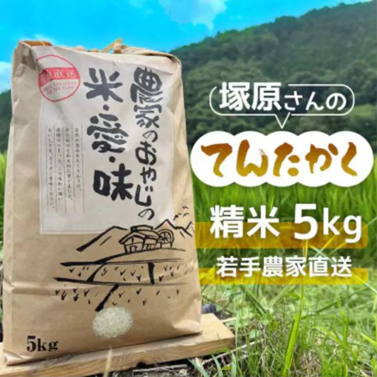 《8月下旬より出荷予定》[令和8年度産] 高齢者の田んぼを受け継ぐ若手後継者「塚原さんのてんたかく」精米5kg | 米 新米 てんたかく 単一原料米 ふっくら あっさり 和食 お弁当 おにぎり | 大阪府 能勢町 送料無料