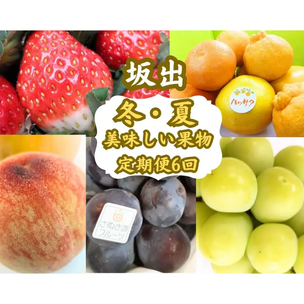 【全6回】坂出　冬・夏　美味しい果物定期便