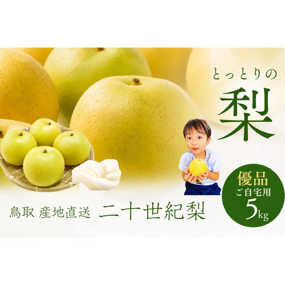 鳥取県産 梨 優品 ご自宅用 二十世紀梨 5kg 【鳥取県 境港市】