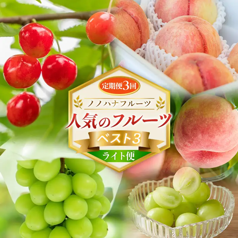 【定期便3回】ノノハナフルーツ 人気のフルーツベスト3 ライト便 FY26-222