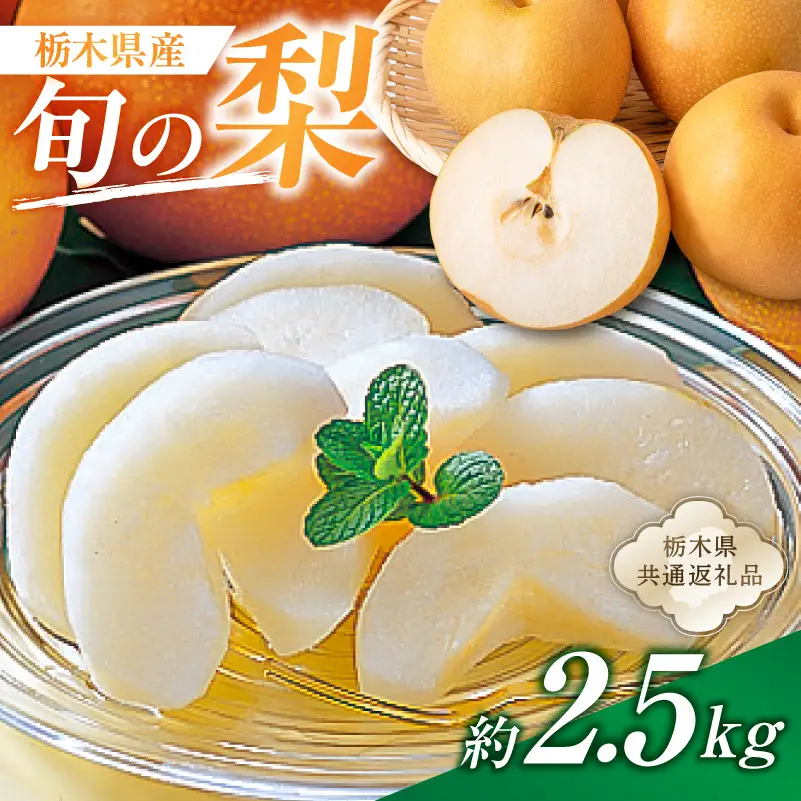 栃木県産　旬の梨　約2.5kg【栃木県共通返礼品】 【ns110-002-1】