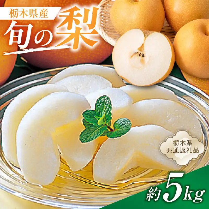 栃木県産　旬の梨　約5kg【栃木県共通返礼品】 【ns110-002-2】