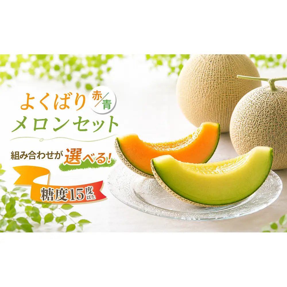 糖度15度以上 !! 宇陀市産 選べる組み合わせ！よくばりメロン 計2玉(選べる青肉・赤肉)＜令和8年産先行予約受付中 / 数量限定＞ ／ みやび農園 メロンセット 選べる 贈答 贈り物 食べ比べ 奈良県 宇陀市