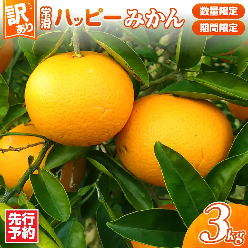 【先行予約】【訳あり】常滑ハッピーみかん 3kg｜みかん フルーツ 常滑市