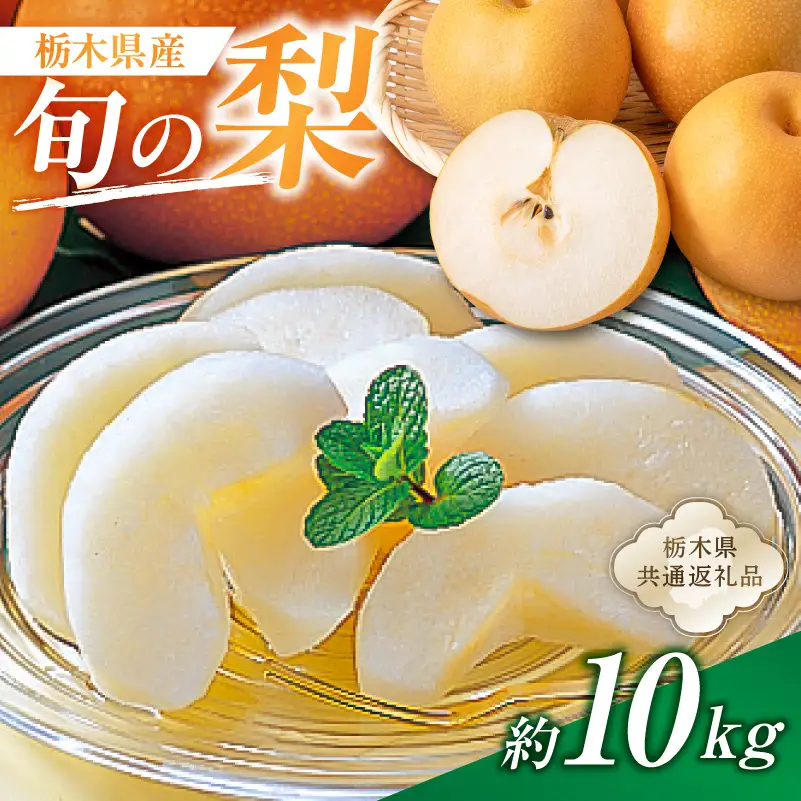 栃木県産　旬の梨　約10kg【栃木県共通返礼品】 【ns110-002-3】
