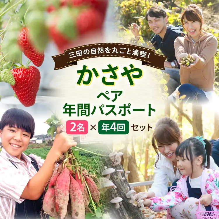 チケット かさや年間パスポート 2名 4枚 セット