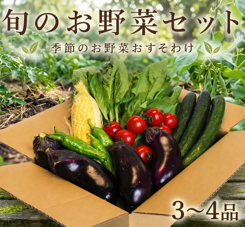 季節の野菜 詰め合わせ 3～4品
