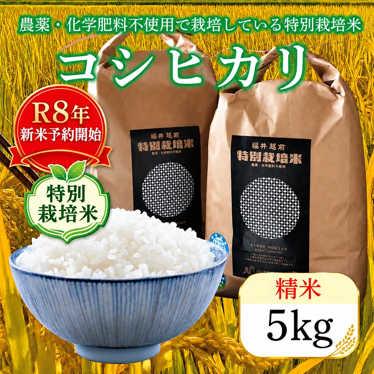 【新米予約】令和8年度産 特別栽培米コシヒカリ 5kg 精米 / 送料無料 福井県 越前市 米 コシヒカリ 農薬不使