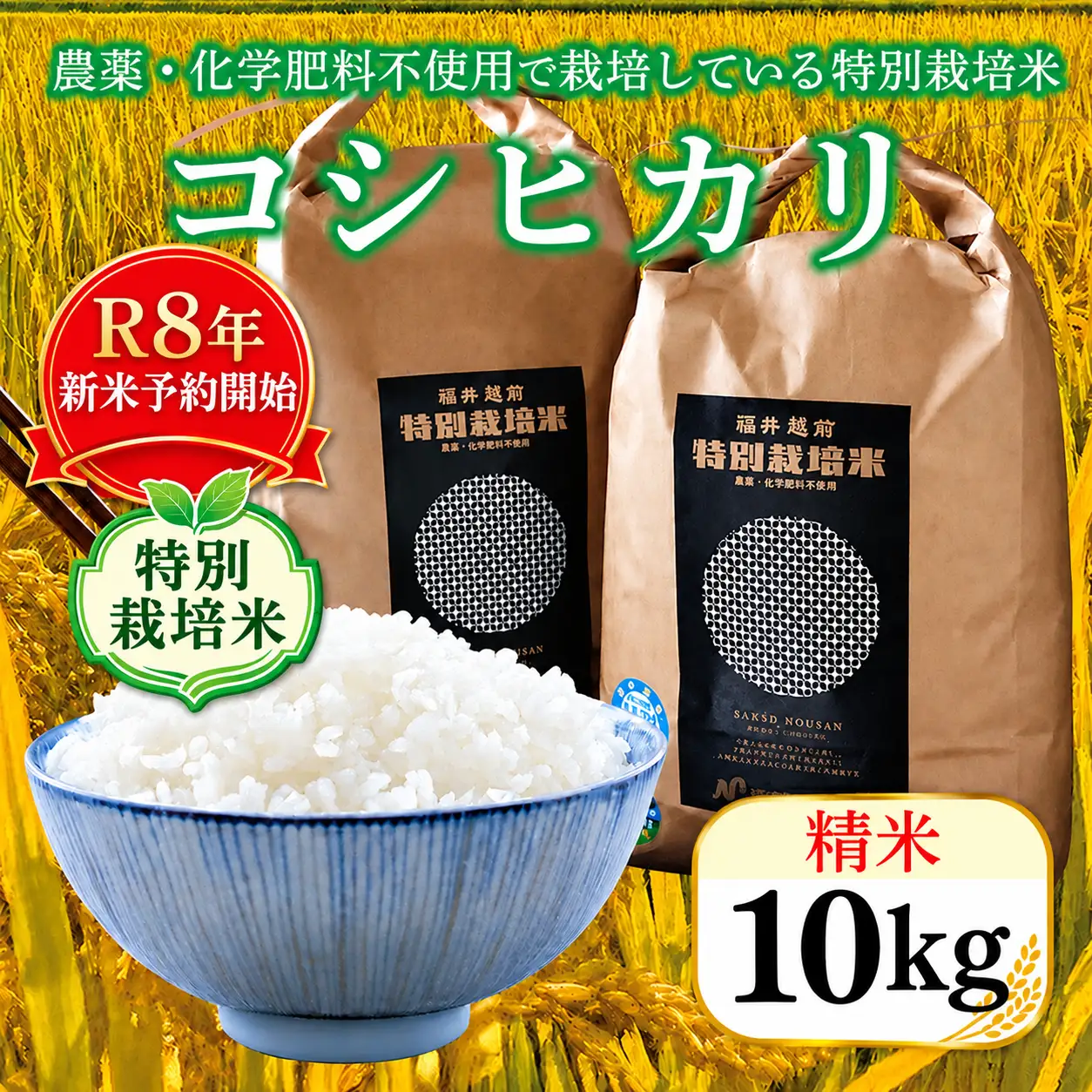 【新米予約】令和8年度産 特別栽培米コシヒカリ 10kg 精米 / 送料無料 福井県 越前市 米 コシヒカリ 農薬不使