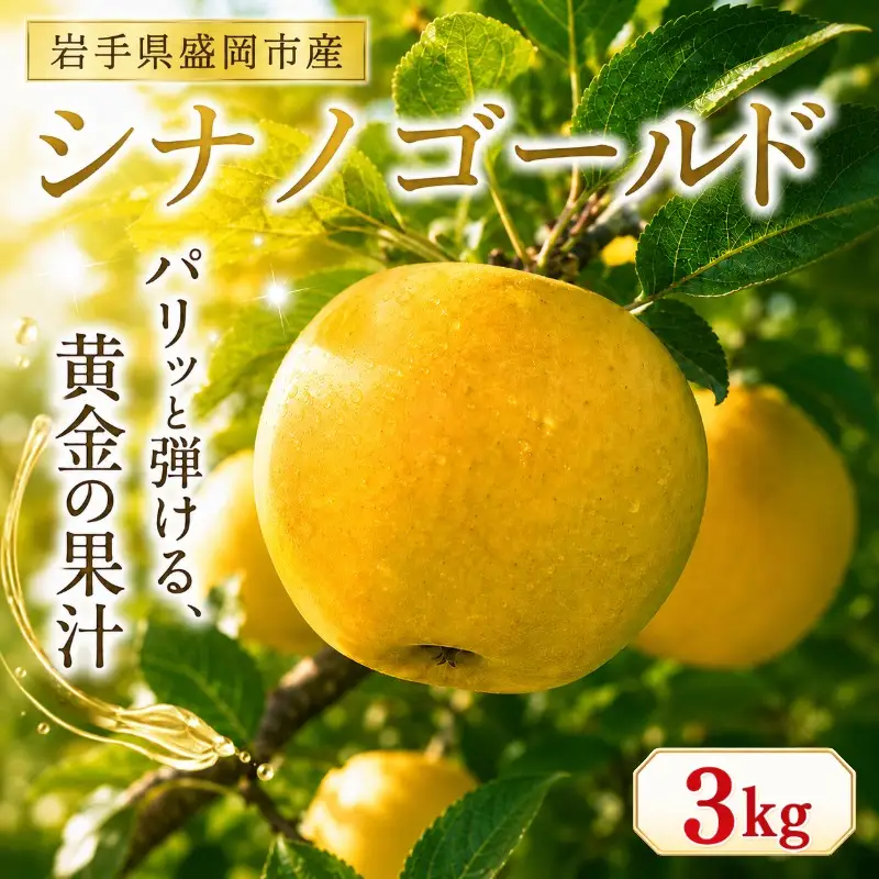 【11月発送開始】シナノゴールド りんご 3kg（8～12玉） 北田りんご園 りんご kitada020
