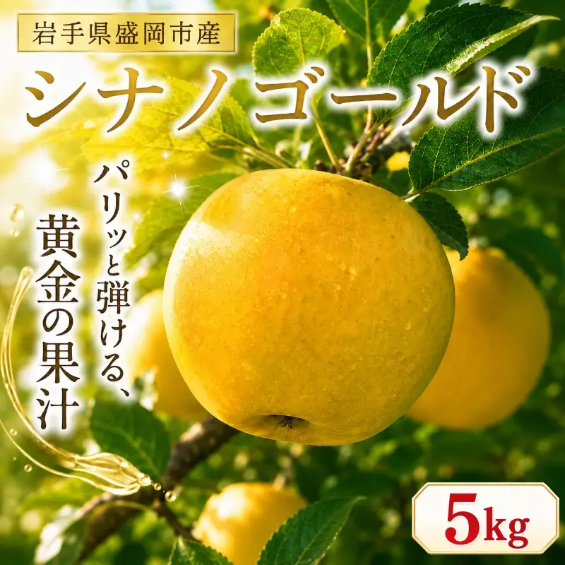 【11月発送開始】シナノゴールド りんご 5kg（14～20玉） 北田りんご園 りんご kitada021