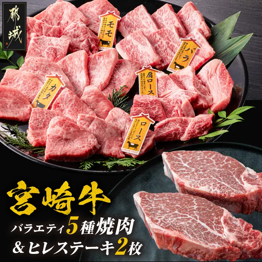 宮崎牛ヒレステーキ2枚&バラエティ焼肉500gセット〔AE-89-012〕_(都城市)