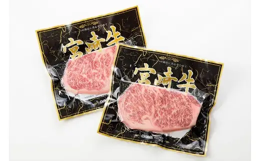 宮崎牛サーロインステーキ　400g（200g×2枚）_A0058-005