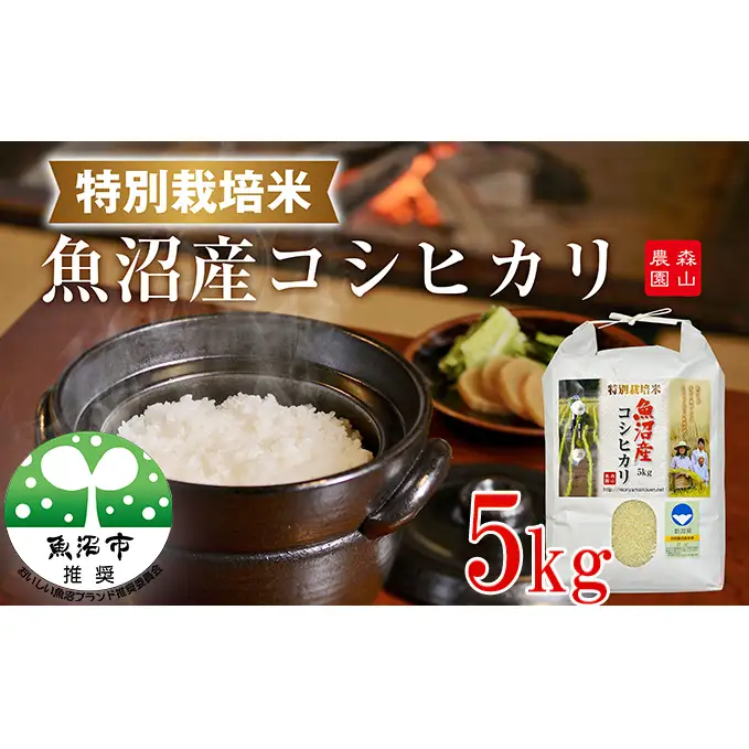令和8年産 先行受付 森山農園 特別栽培米 魚沼産コシヒカリ（新潟県認証）5kg お米