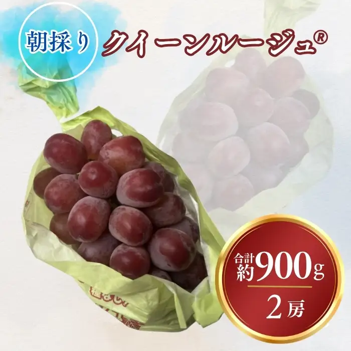 【2026年先行予約】ぶどう クイーンルージュ®︎ 合計約900g｜ぶどう