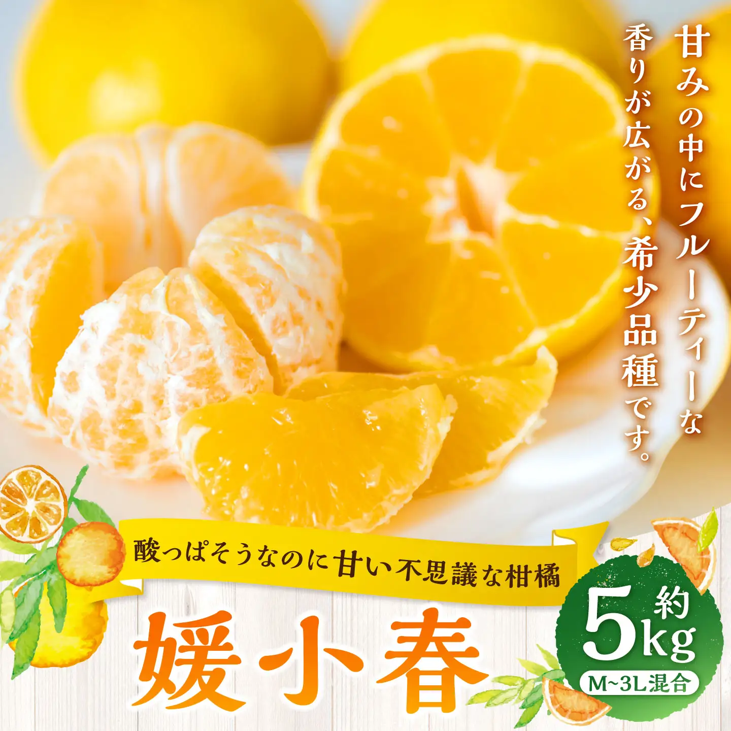 【 酸っぱそうなのに甘い不思議な柑橘 】 媛小春 約5kg みかん ミカン 柑橘 柑橘系 柑橘類 くだもの 果物 フルーツ 果実 果汁 果肉 国産 愛媛県産 薄皮 【 2027年1月下旬～3月下旬発送予定 】 ( 1086 )