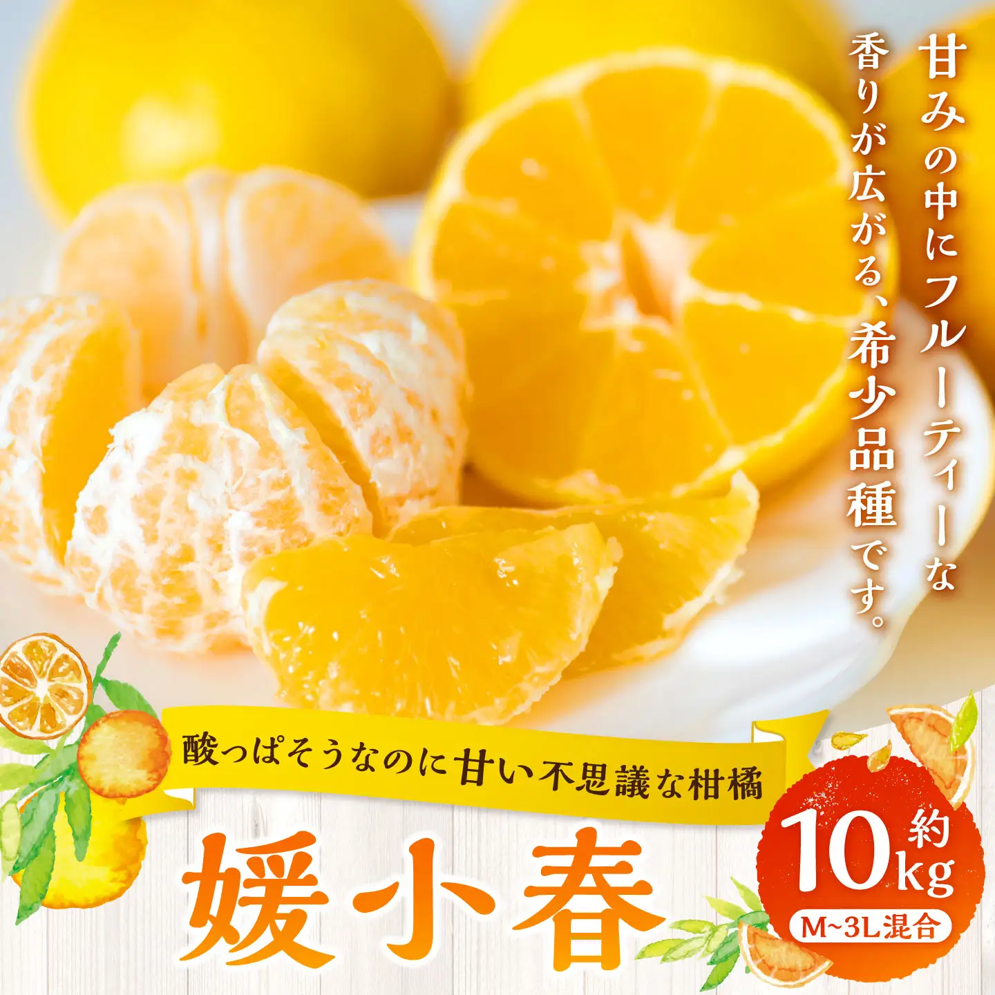 【 酸っぱそうなのに甘い不思議な柑橘 】 媛小春 約10kg みかん ミカン 柑橘 柑橘系 柑橘類 くだもの 果物 フルーツ 果実 果汁 果肉 国産 愛媛県産 薄皮 【 2027年1月下旬～3月下旬発送予定 】 ( 1087 )