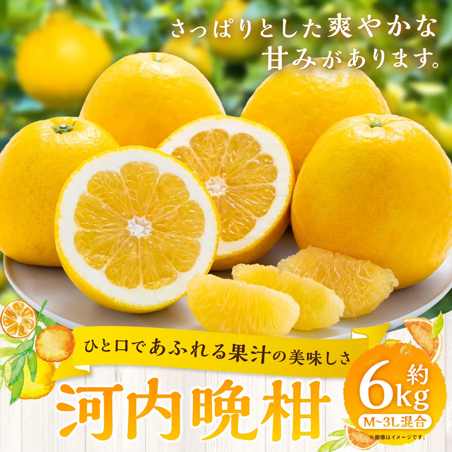 【 ひと口であふれる果汁の美味しさ 】 河内晩柑 約6kg みかん ミカン 柑橘 柑橘系 柑橘類 くだもの 果物 フルーツ 果実 果汁 果肉 国産 愛媛県産 【 2027年3月下旬～7月上旬 】 ( 1089 )