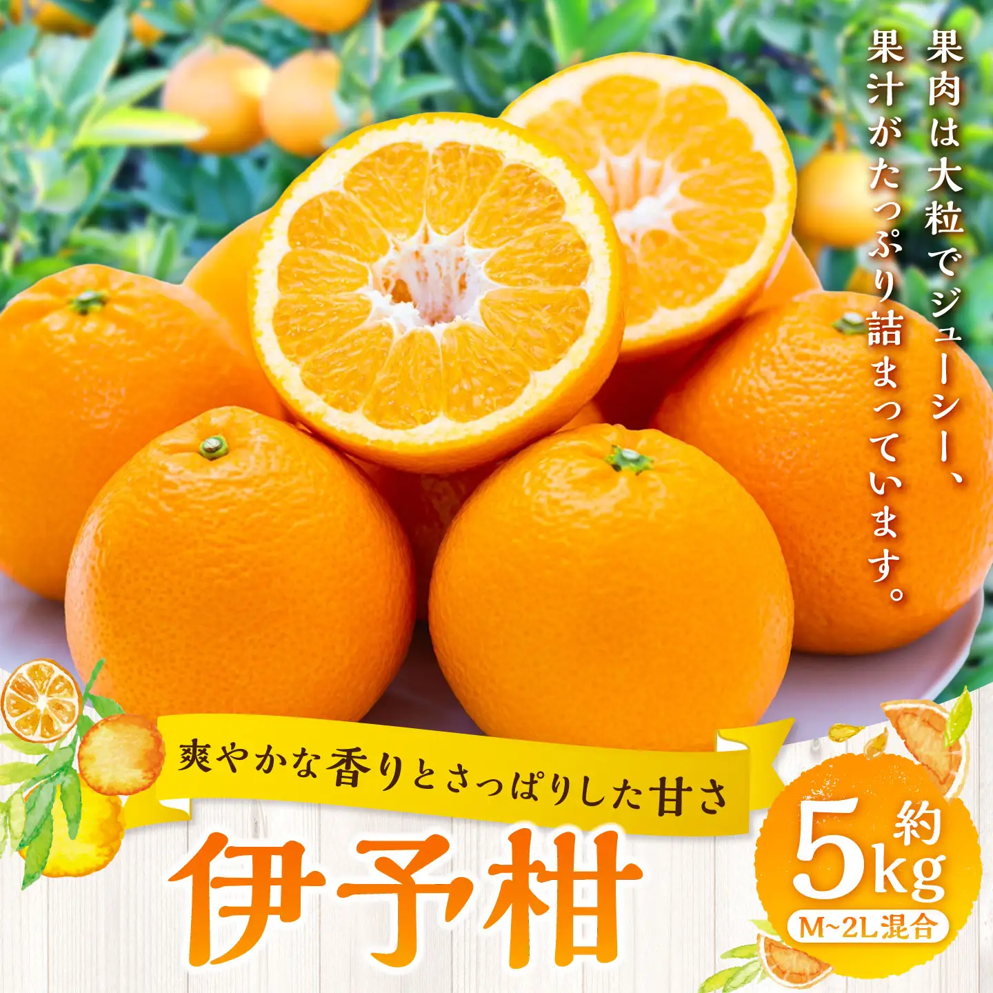 【 爽やかな香りとさっぱり甘さ 】 伊予柑 約5kg みかん ミカン 柑橘 柑橘系 柑橘類 くだもの 果物 フルーツ 果実 果汁 果肉 国産 愛媛県産 【 2027年1月上旬～2月下旬発送予定 】 ( 1082 )