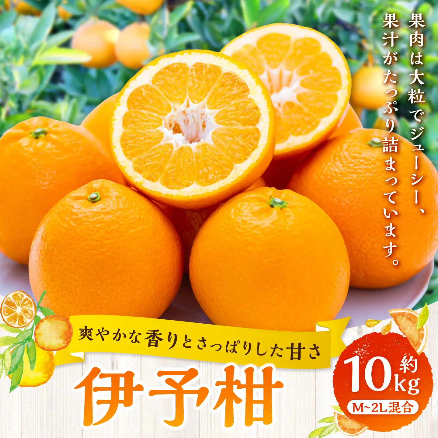 【 爽やかな香りとさっぱり甘さ 】 伊予柑 約10kg みかん ミカン 柑橘 柑橘系 柑橘類 くだもの 果物 フルーツ 果実 果汁 果肉 国産 愛媛県産 【 2027年1月上旬～2月下旬発送予定 】 ( 1083 )