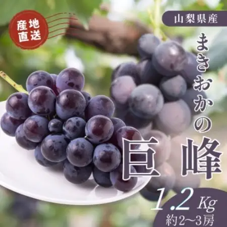山梨県まきおか産　巨峰1.2Kg【配送不可地域：離島・沖縄県】【1756894】