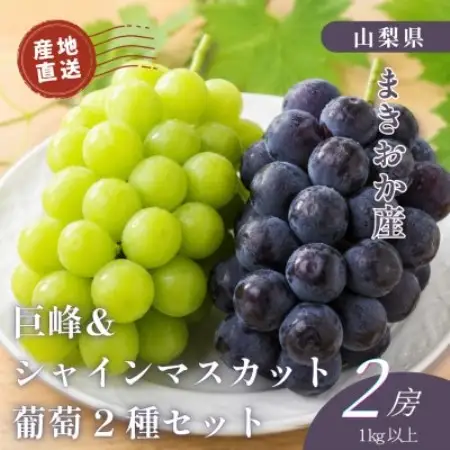 山梨県まきおか産　巨峰・シャインマスカット　葡萄2種セット【配送不可地域：離島・沖縄県】【1756896】
