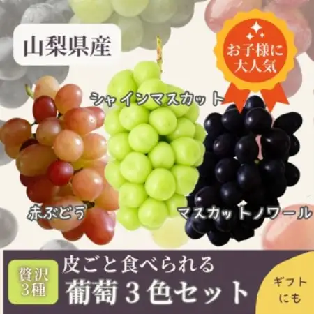 山梨県まきおか産　皮ごと食べられる葡萄3色セット【配送不可地域：離島・沖縄県】【1756900】
