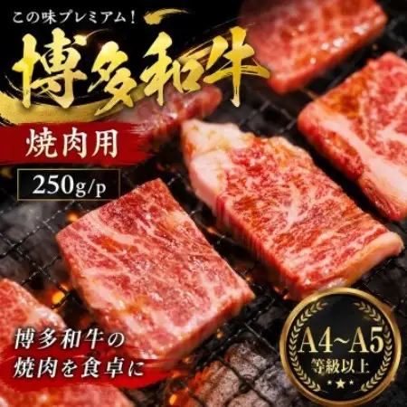 この味プレミアム!【A4～A5】博多和牛焼肉用　250g/p(大牟田市)【配送不可地域：離島】【1758355】