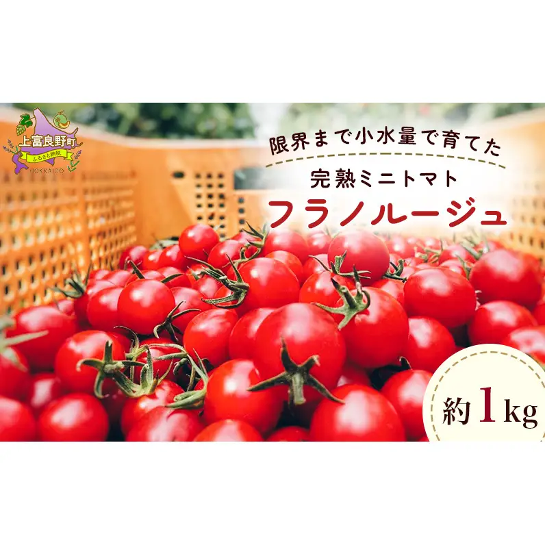 ミニトマト フラノルージュ 完熟 訳あり 北海道産 ミニトマト【1kg】