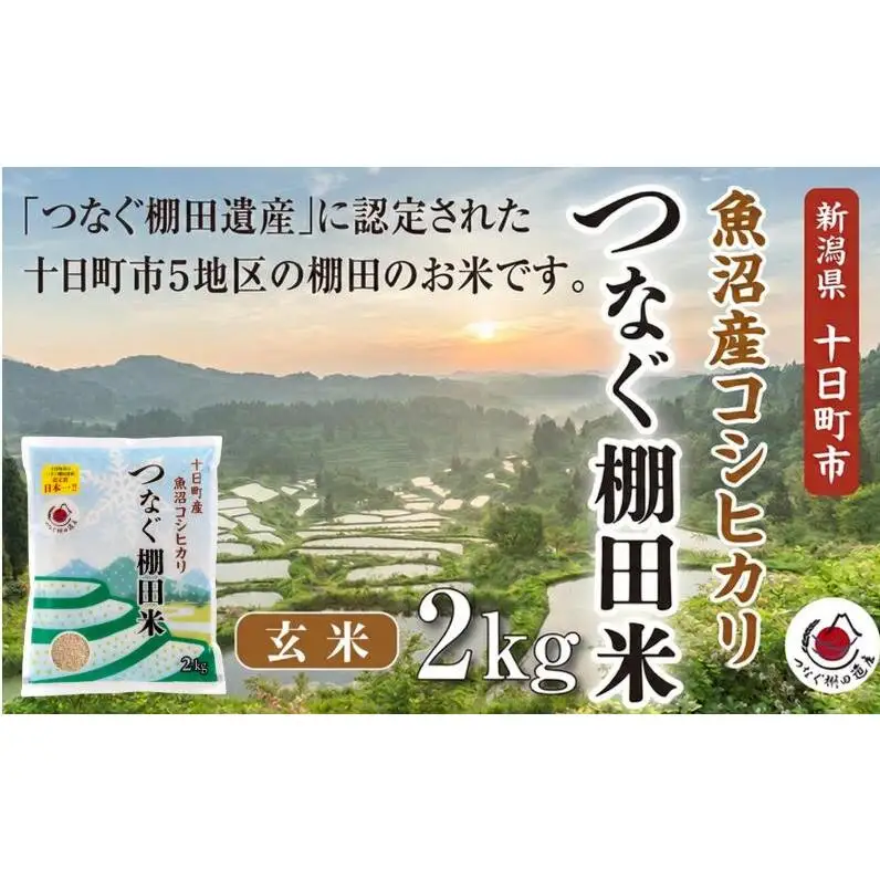 玄米2kg 令和7年産新潟県十日町市魚沼産コシヒカリ「つなぐ棚田米」 米 こしひかり 玄米 十日町市