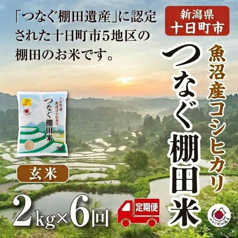 【定期便／全6回】玄米2kg  令和7年産新潟県十日町市魚沼産コシヒカリ「つなぐ棚田米」 米 こしひかり 玄米 十日町市