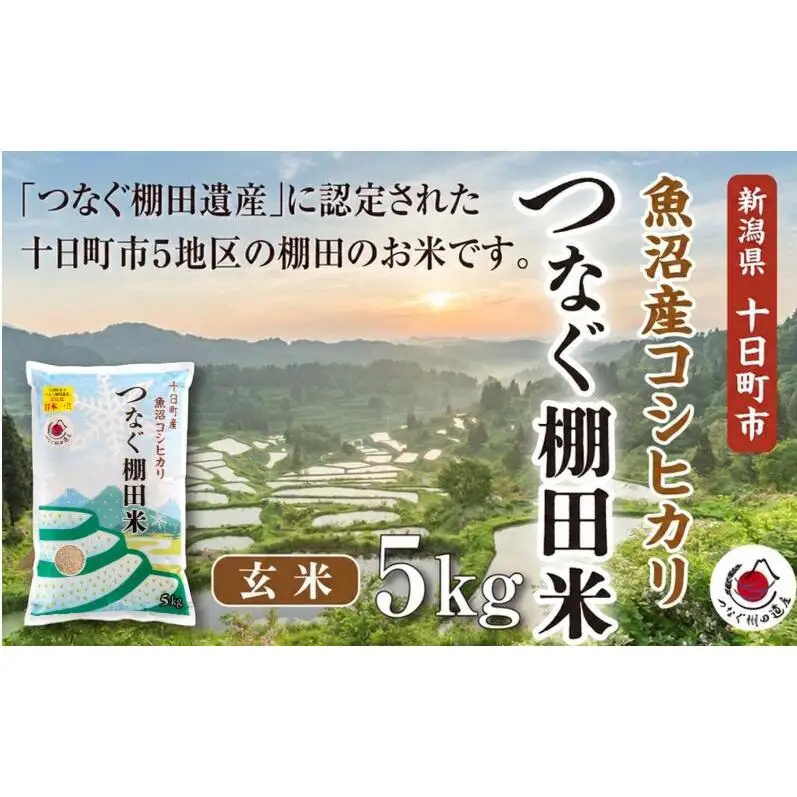 玄米5kg 令和7年産新潟県十日町市魚沼産コシヒカリ「つなぐ棚田米」 米 こしひかり 玄米 十日町市