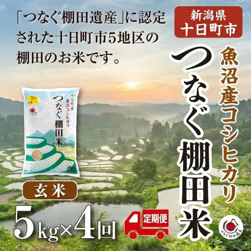 【定期便／全4回】玄米5kg  令和7年産新潟県十日町市魚沼産コシヒカリ「つなぐ棚田米」 米 こしひかり 玄米 十日町市