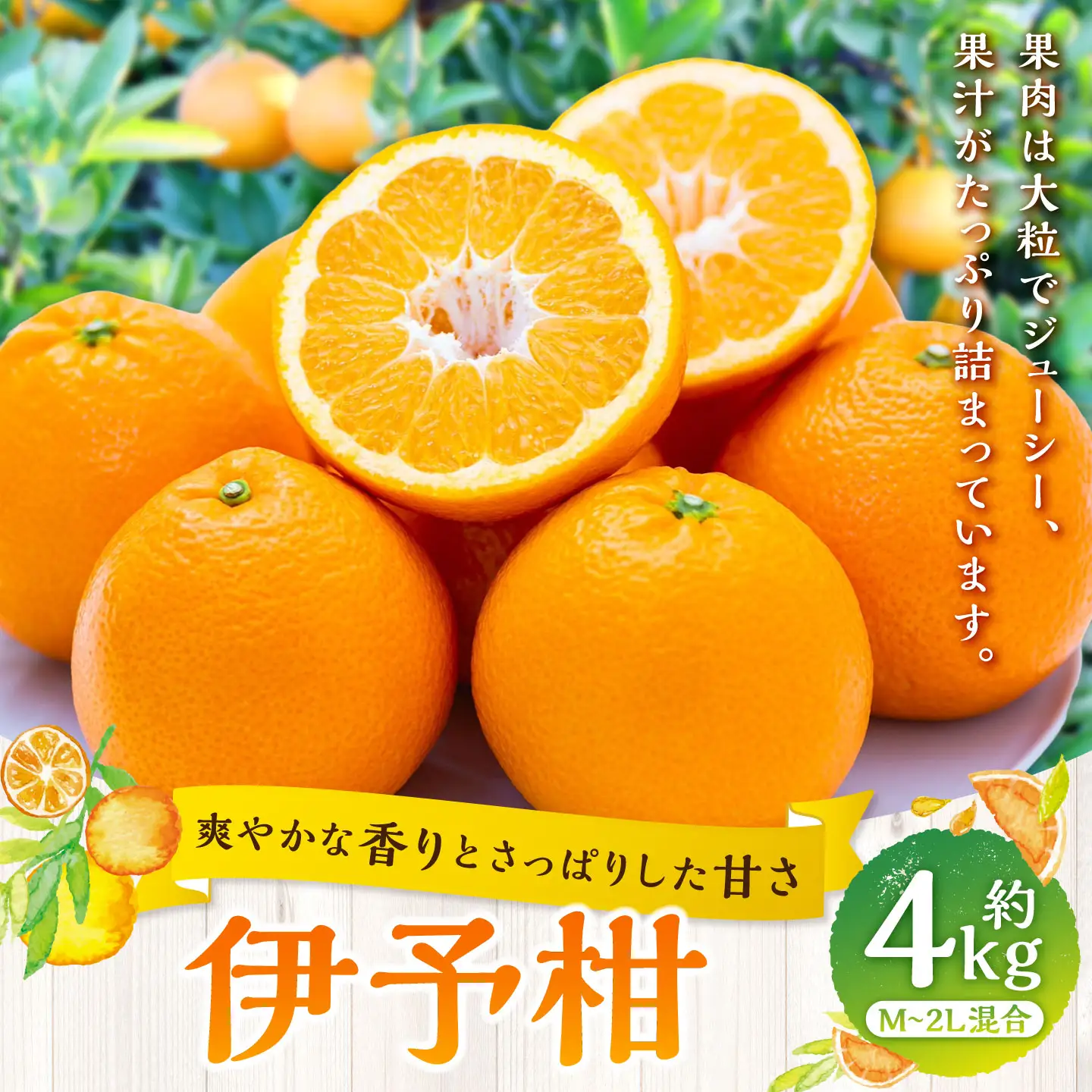 【 爽やかな香りとさっぱり甘さ 】 伊予柑 約4kg みかん ミカン 柑橘 柑橘系 柑橘類 くだもの 果物 フルーツ 果実 果汁 果肉 国産 愛媛県産 【 2027年1月上旬～2月下旬発送予定 】 ( 1081 )