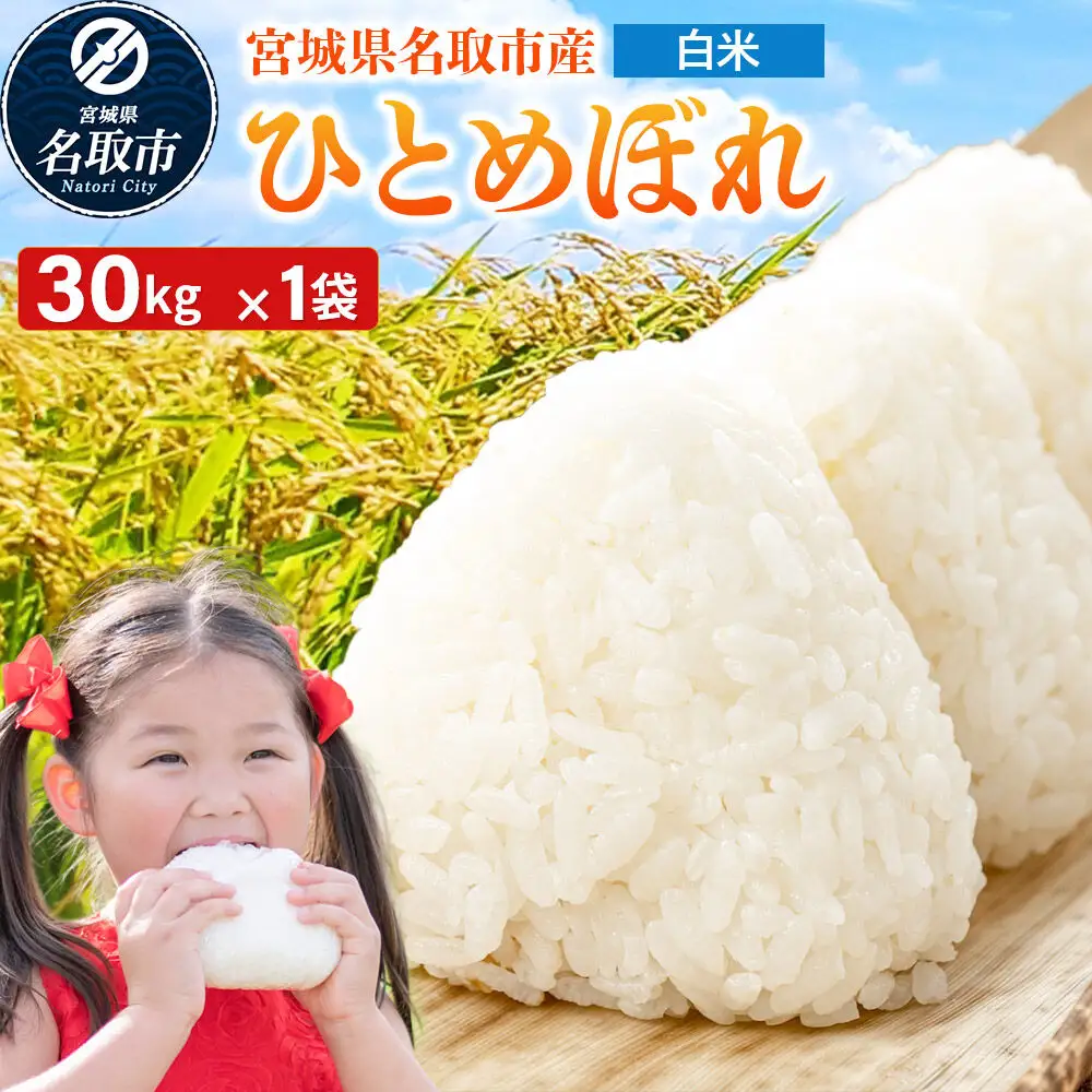 ひとめぼれ 白米 30kg 令和7年産 宮城県名取市産