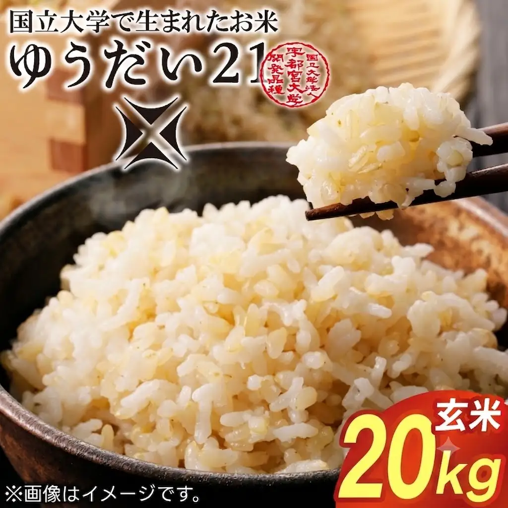 令和8年産 ゆうだい21 玄米 20kg DQ008-2