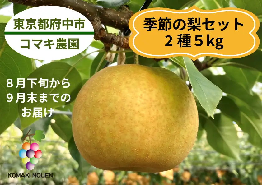 【コマキ農園】季節の梨セット（2種・5kg)【8月末～9月末発送分予約】