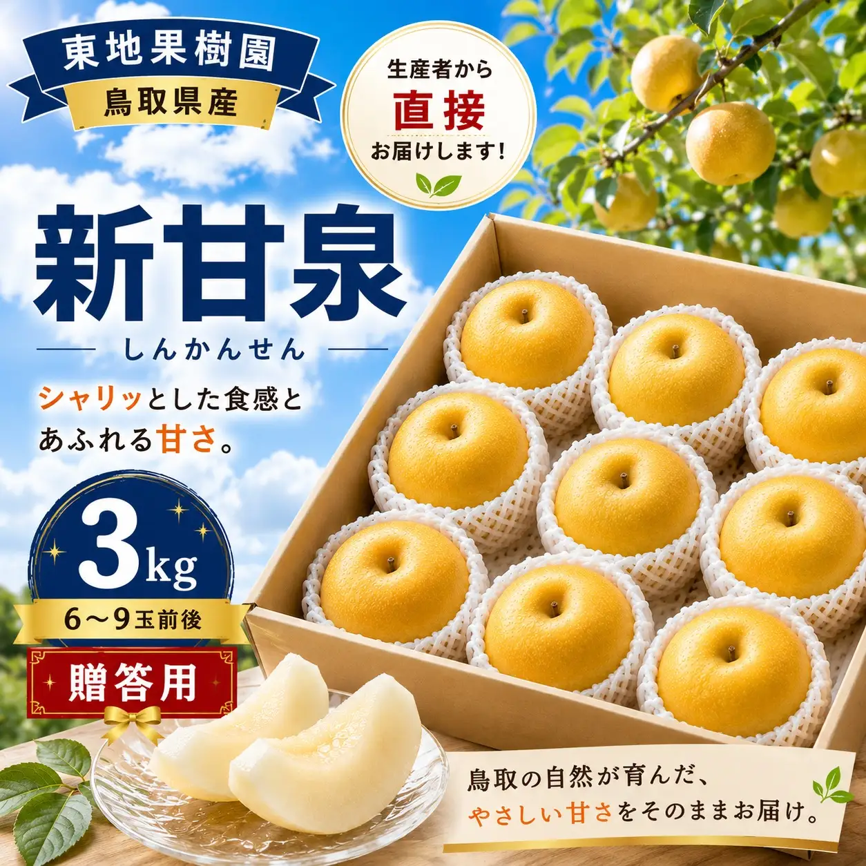 【期間限定】 梨 なし 新甘泉 3kg 6～9玉 2026年8月下旬～9月上旬頃順次発送 しんかんせん 果物 くだもの フルーツ 甘い ブランド 鳥取県 名産 特産品 先行予約 東地果樹園 直送 新鮮 人気 定番 おすすめ 送料無料 進物  贈答 363M
