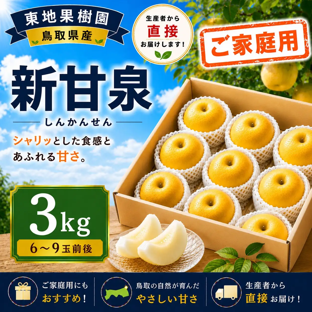 【期間限定】 梨 なし ご家庭用 訳あり 新甘泉 3kg 6～9玉 2026年8月下旬～9月上旬頃順次発送 しんかんせん 果物 くだもの フルーツ 甘い ブランド 鳥取県 名産 特産品 先行予約 東地果樹園 直送 新鮮 人気 定番 おすすめ 送料無料 364M