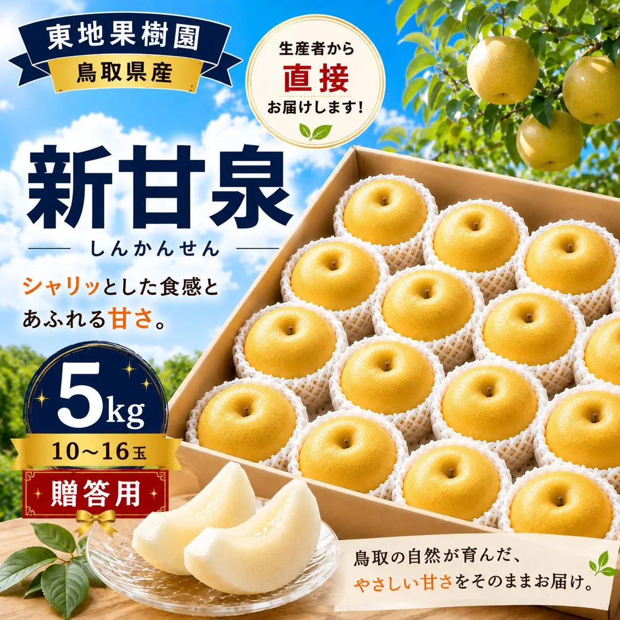 しんかんせん 5kg 梨 新甘泉 特徴 食品 梨 新甘泉 農家直送 10
