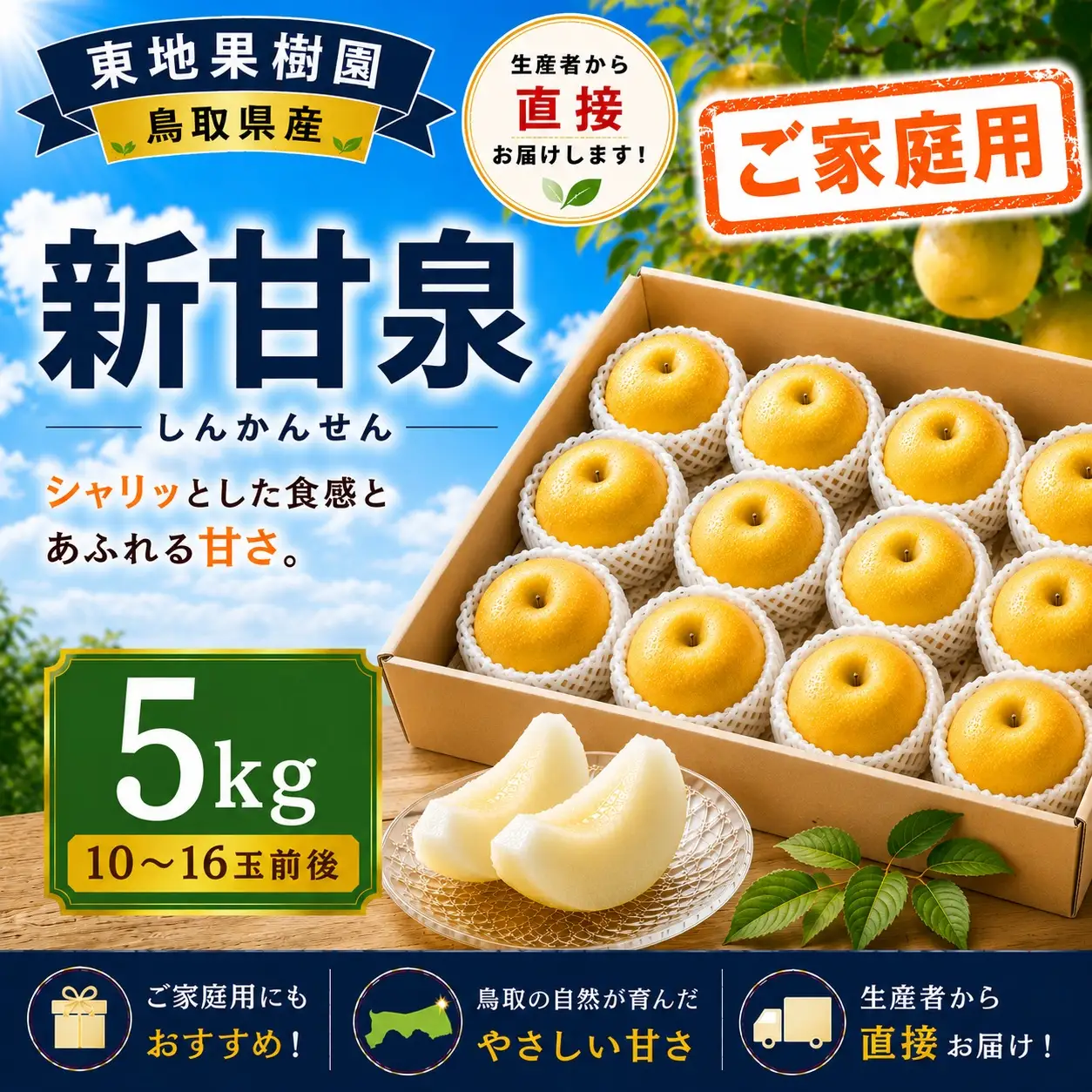 【期間限定】 梨 なし ご家庭用 訳あり 新甘泉 5kg 10～16玉 2026年8月下旬～9月上旬頃順次発送 しんかんせん 果物 くだもの フルーツ 甘い ブランド 鳥取県 名産 特産品 先行予約 東地果樹園 直送 新鮮 人気 定番 おすすめ 送料無料 366M