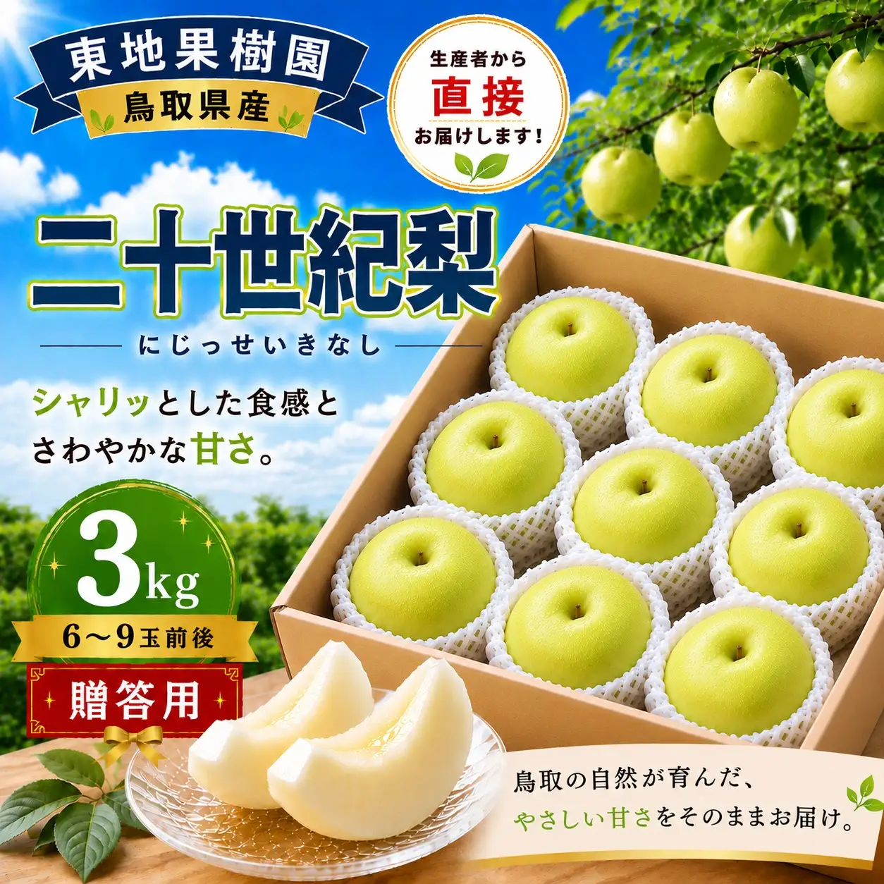 【期間限定】 梨 なし 二十世紀 3kg 6～9玉 2026年8月下旬～9月上旬頃順次発送 果物 くだもの フルーツ ブランド 鳥取県 名産 特産品 先行予約 東地果樹園 直送 新鮮 人気 定番 おすすめ 送料無料 進物  贈答 367M