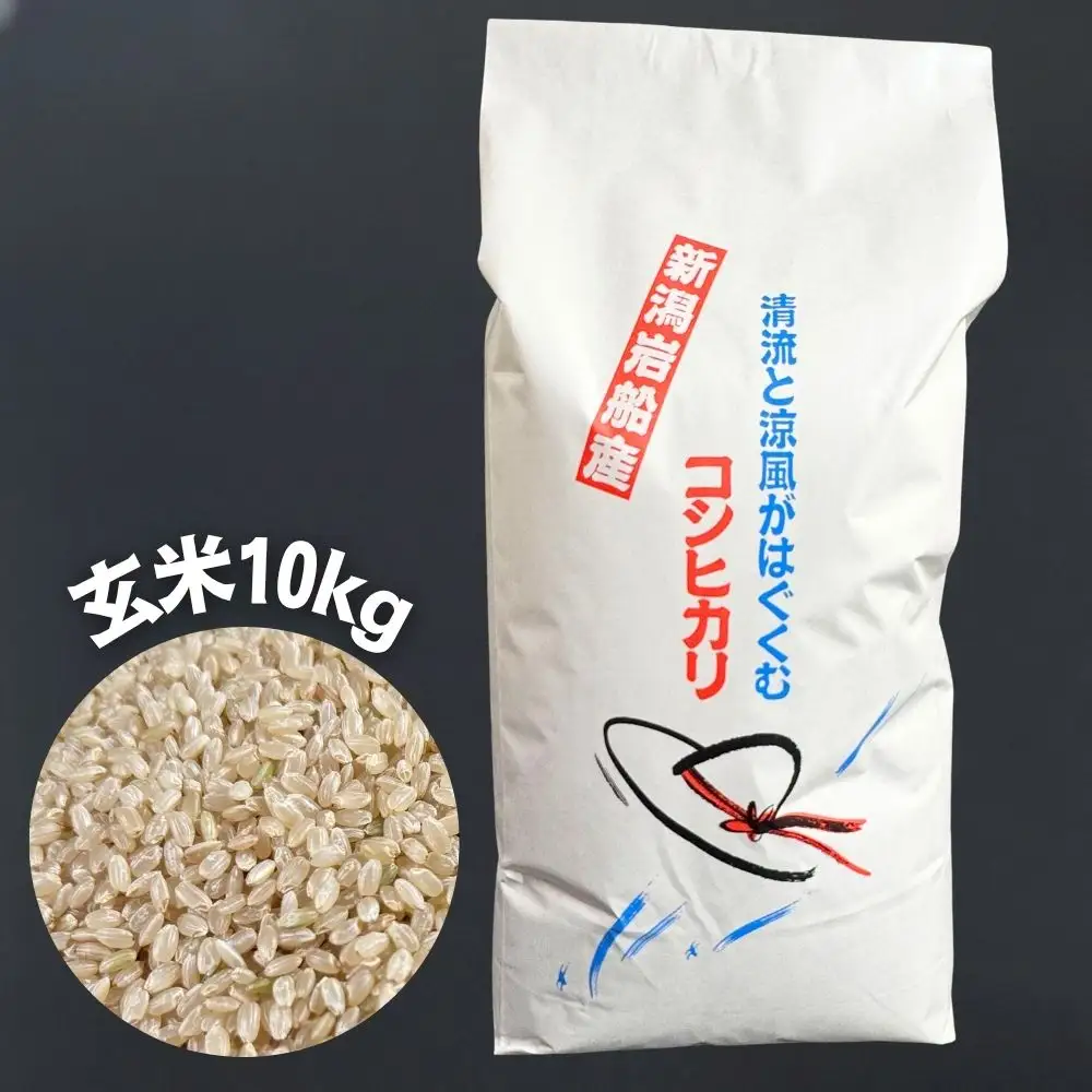 【令和7年産米】新潟県村上市 岩船産コシヒカリ 玄米 10kg×1袋　1100002