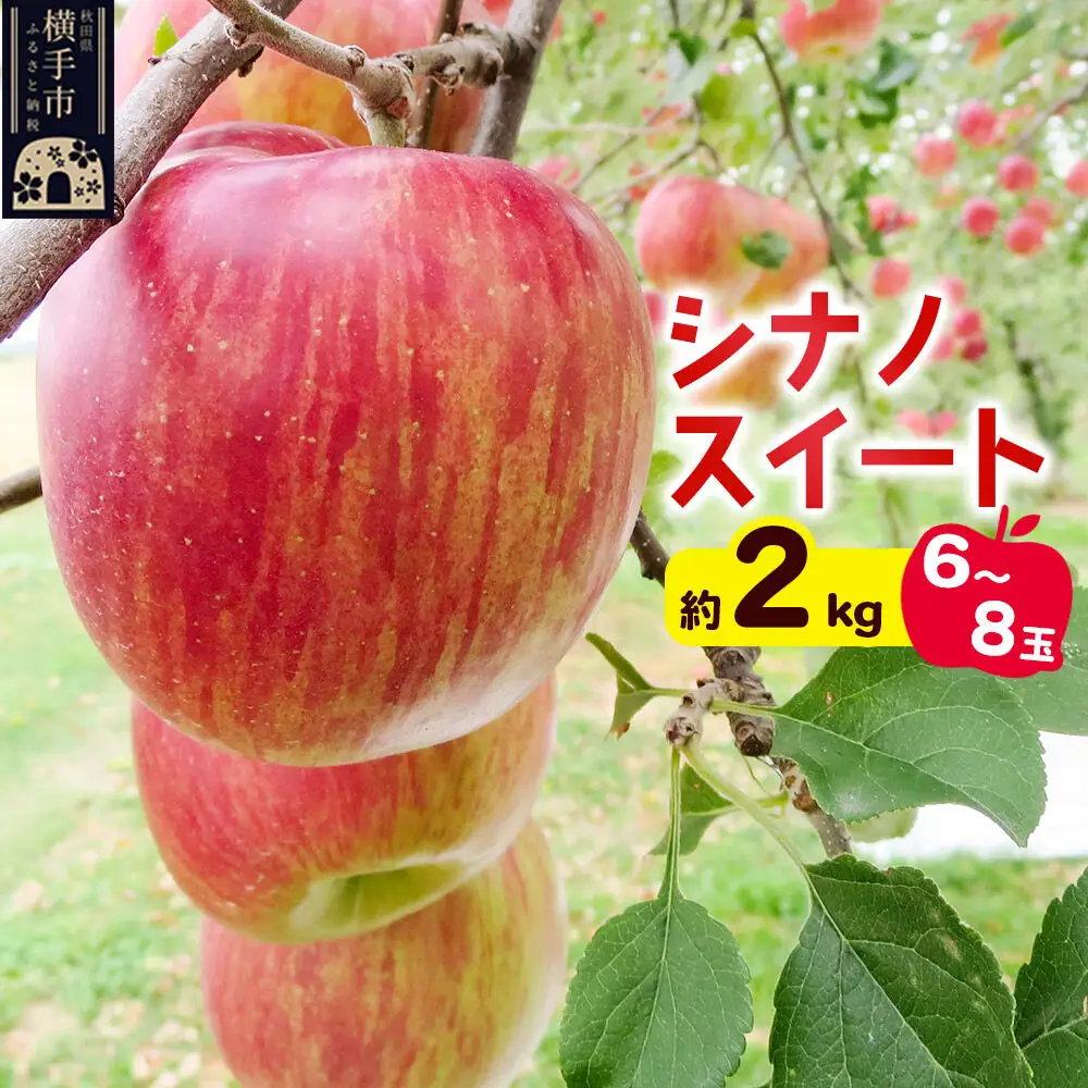 【先行受付】10月中旬より発送 シナノスイート約2kg（6～8玉）りんご 秋田県横手市